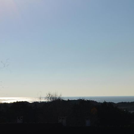 Vue Mer Berck Dış mekan fotoğraf