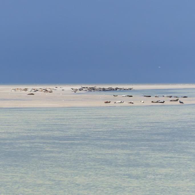 Vue Mer Berck Dış mekan fotoğraf